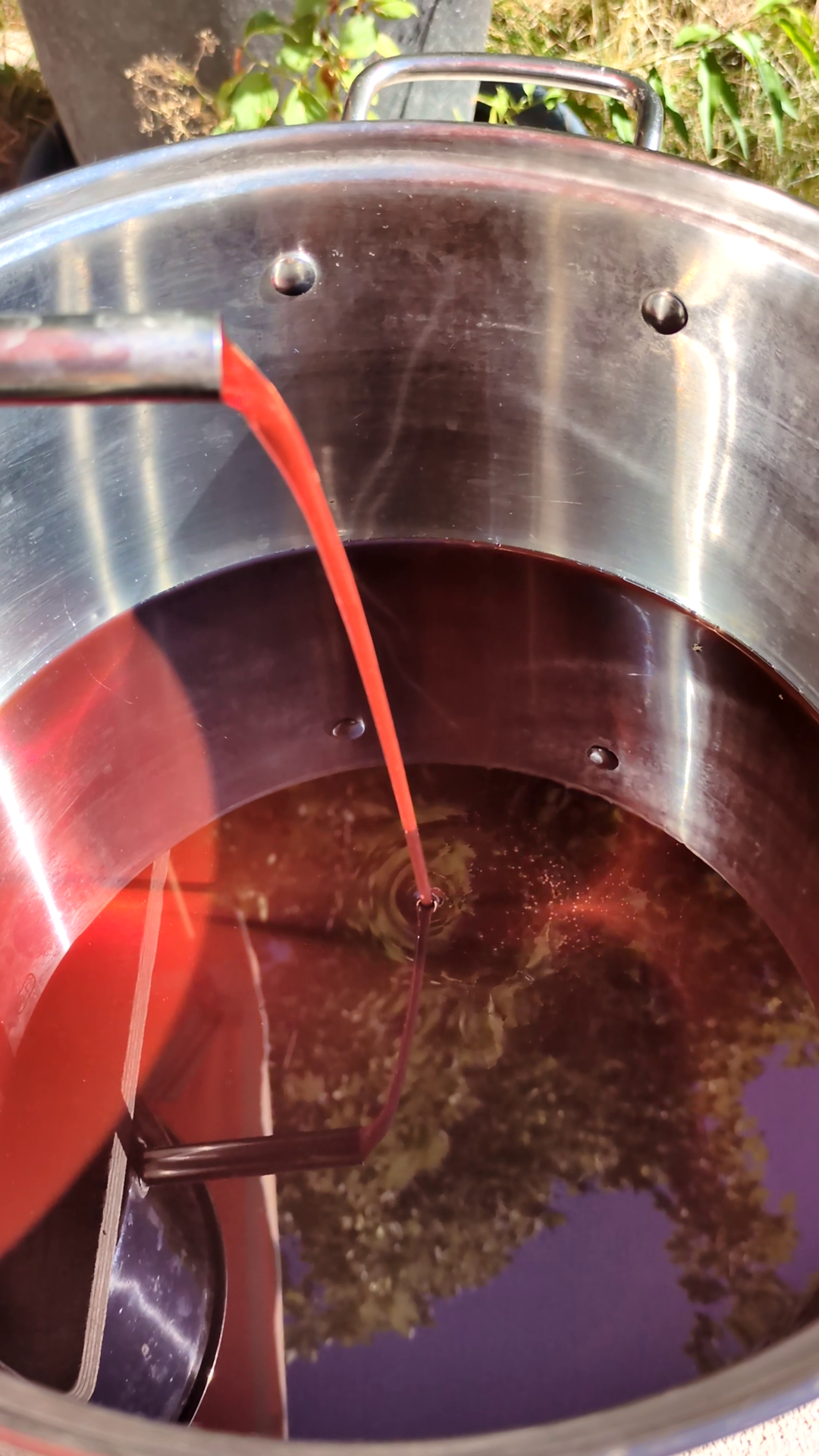 Macération douce des plantes