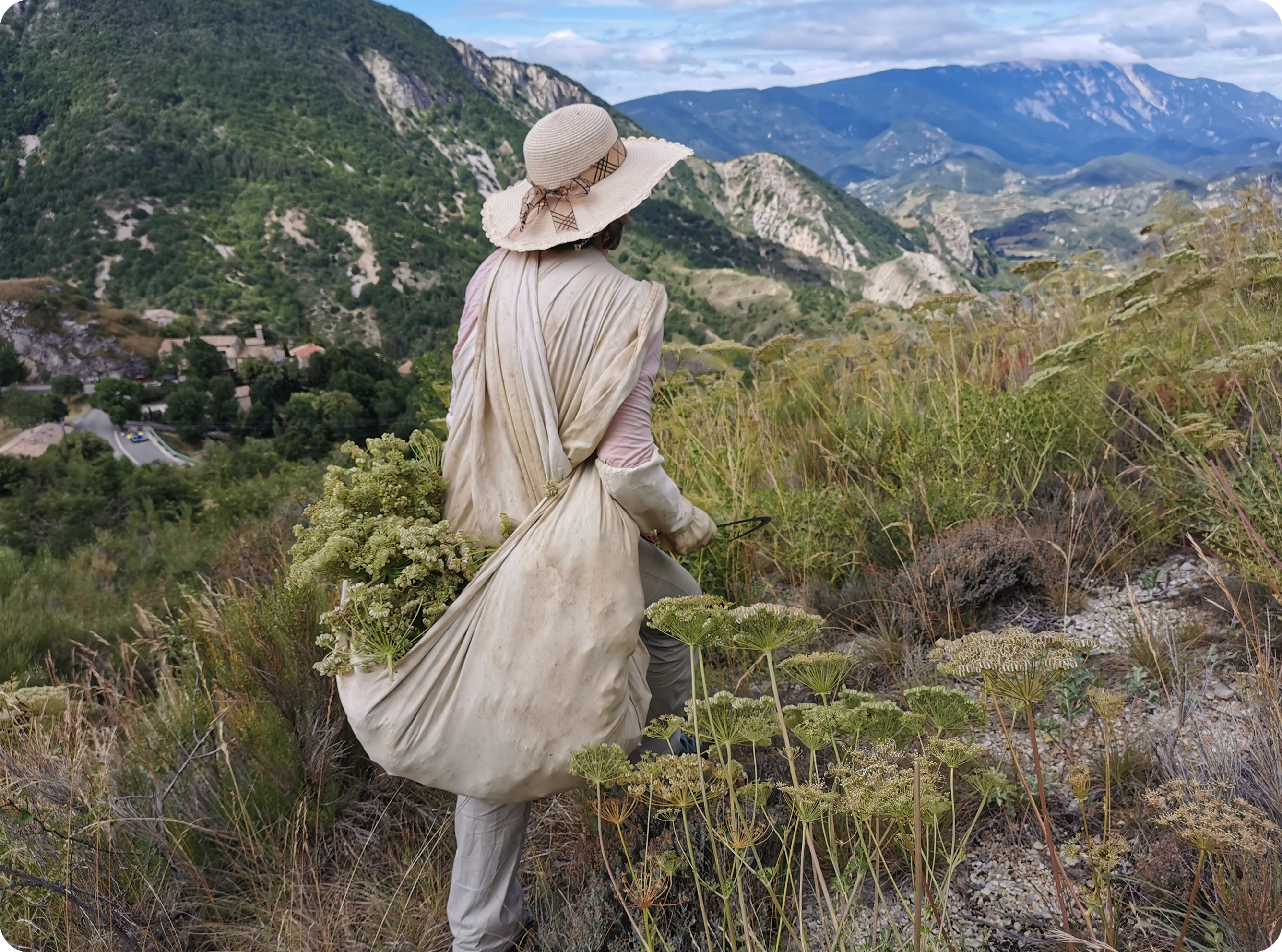 Cueillette et culture