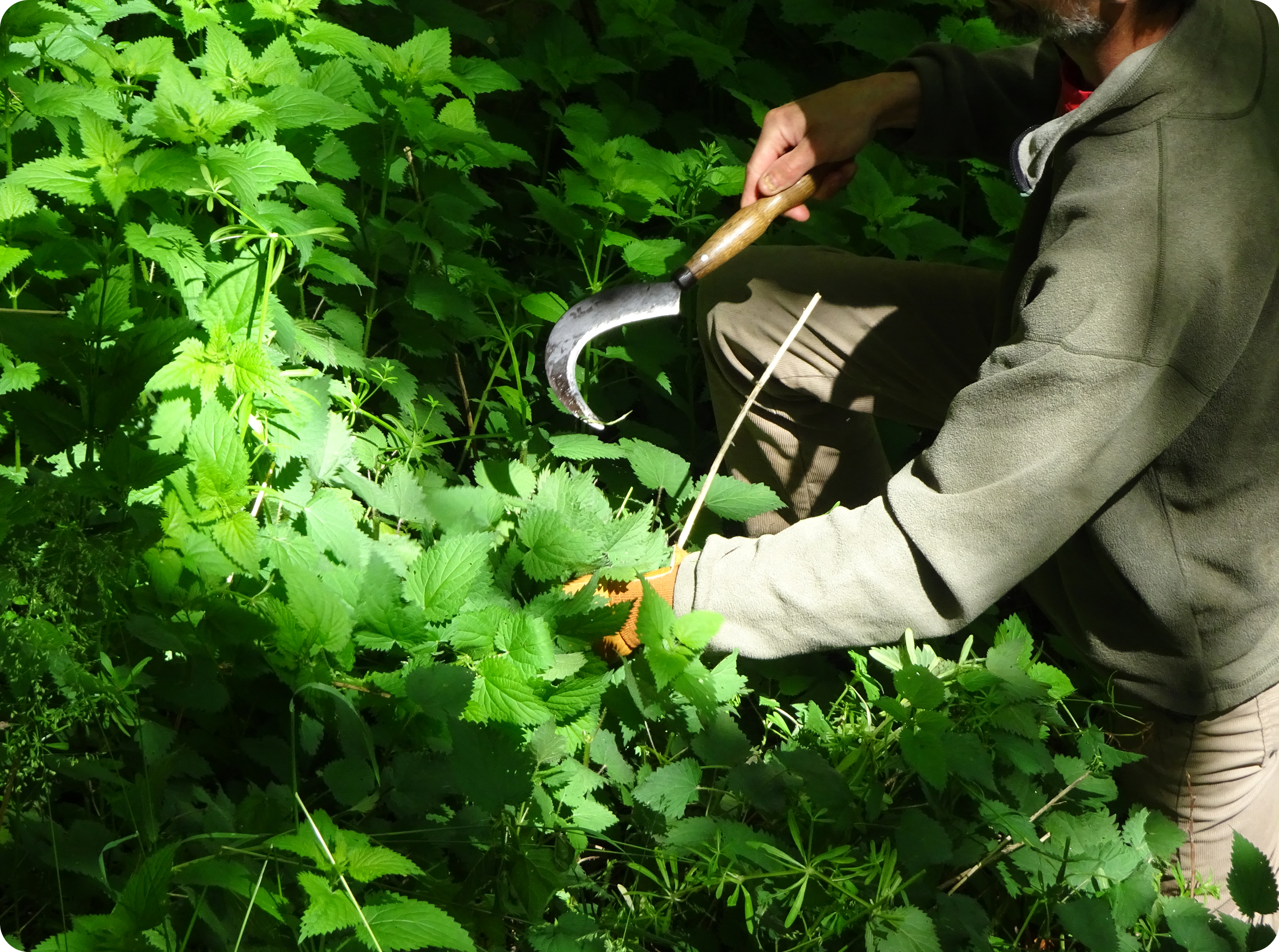 Limiter notre impact environnemental