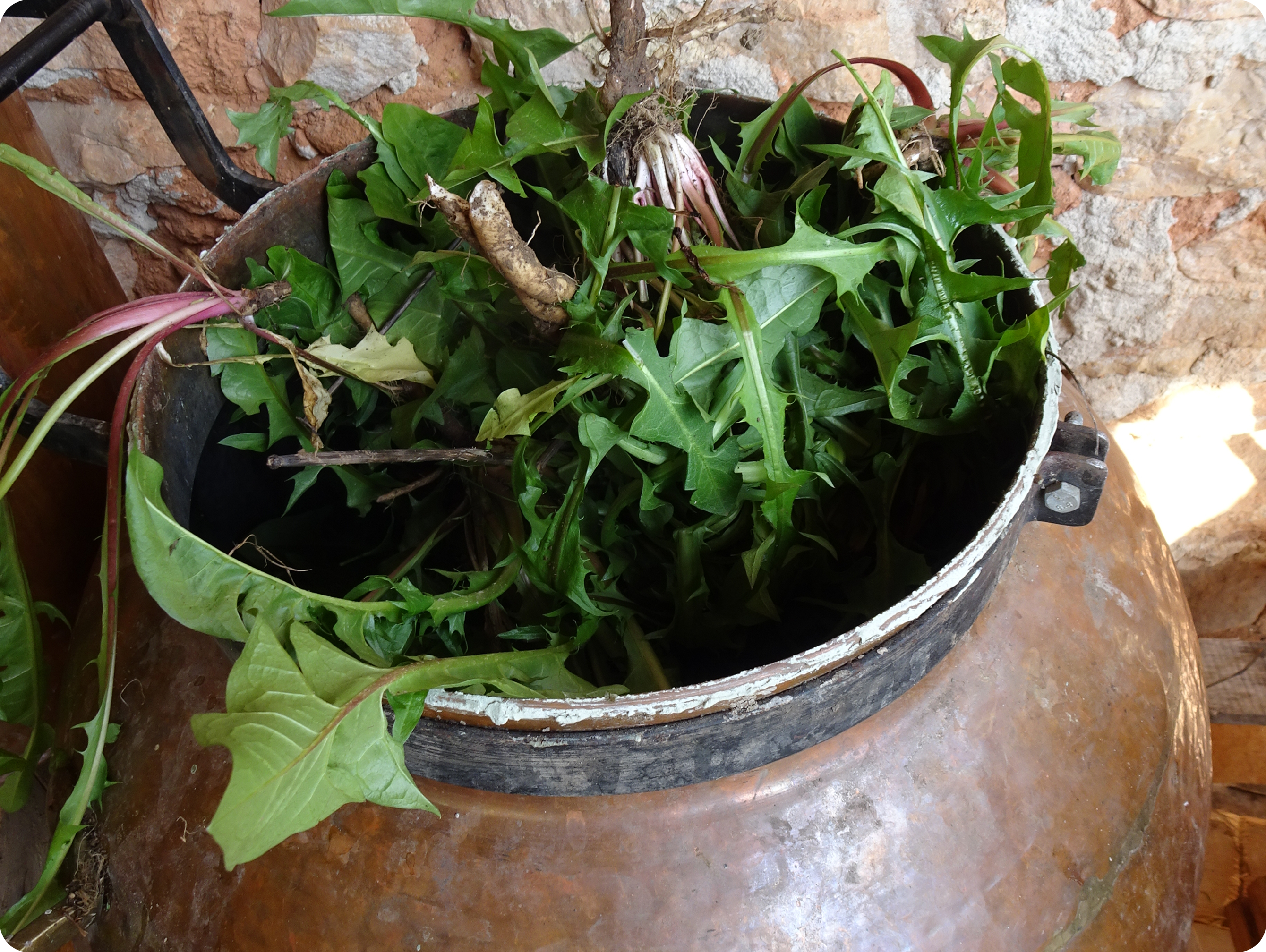 Cosmétiques naturels