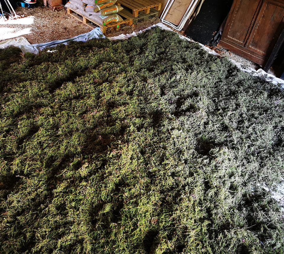 Produits professionnels en vitrine